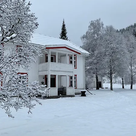 别墅 Skjeggestad 灵厄比