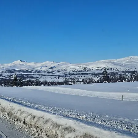 别墅 Skjeggestad *