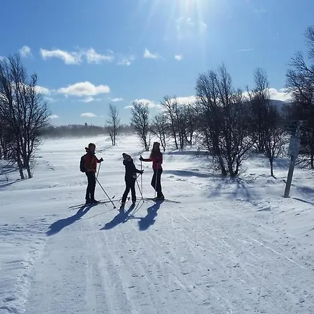 Villa Skjeggestad Ringebu
