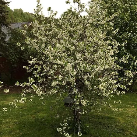 Skjeggestad Villa Ringebu