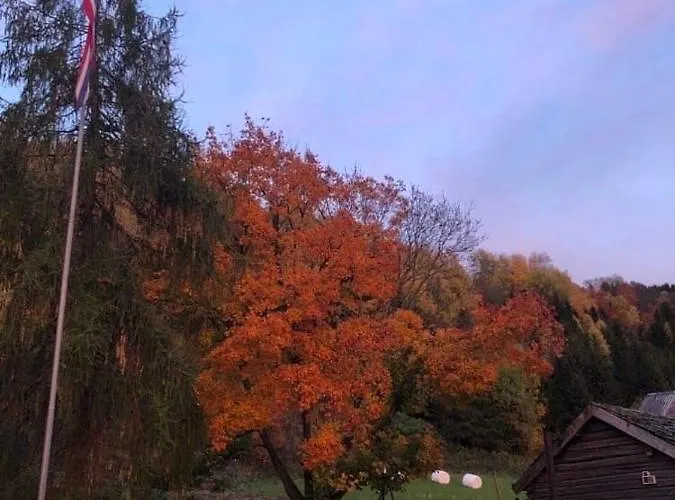 Skjeggestad *