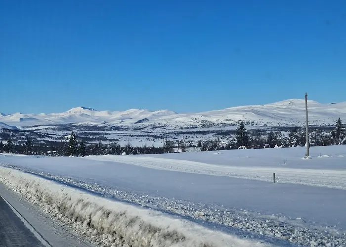 别墅 Skjeggestad *