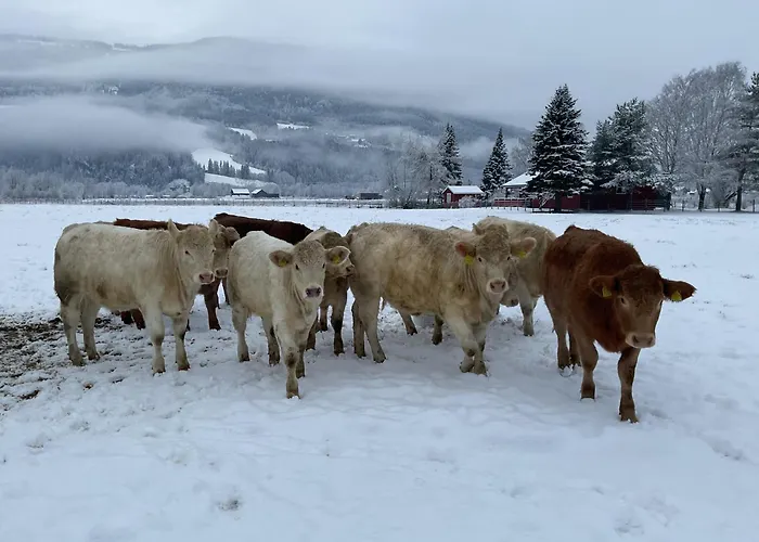 Skjeggestad 别墅 *