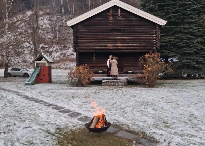 别墅 Skjeggestad 灵厄比