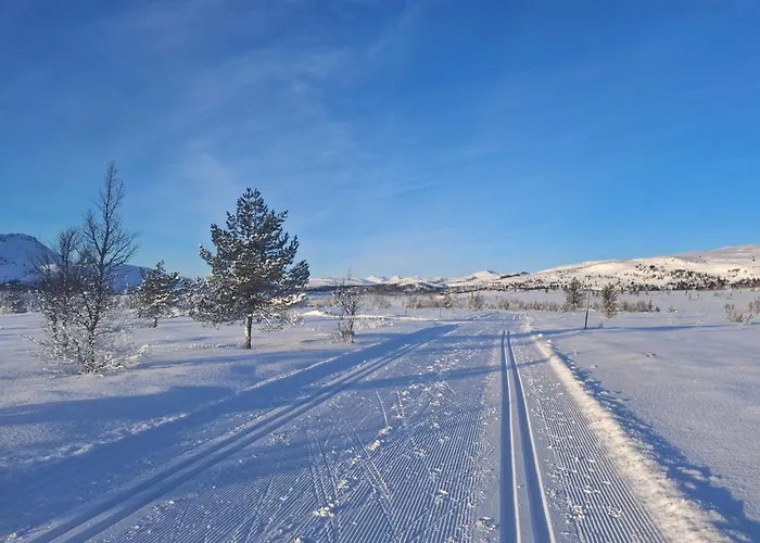 别墅 Skjeggestad *