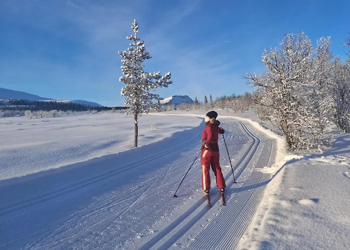 Skjeggestad 别墅 灵厄比