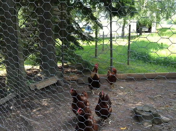 Skjeggestad 灵厄比