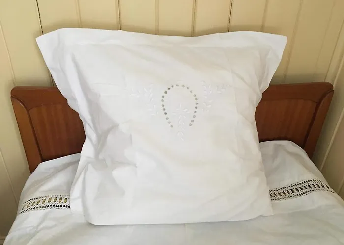 Villaer Skjeggestad *