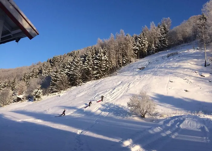 Skjeggestad Villaer *