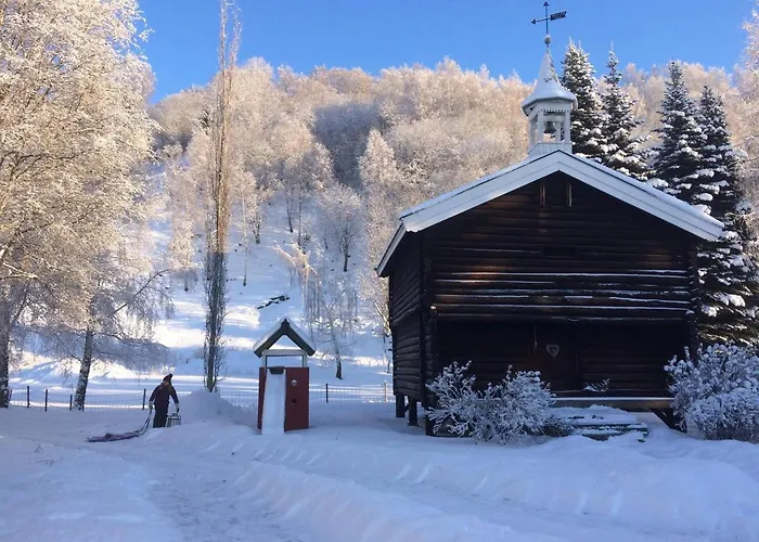 Skjeggestad Villaer *