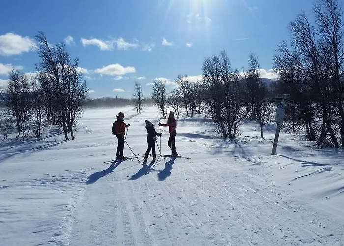 Villaer Skjeggestad Ringebu