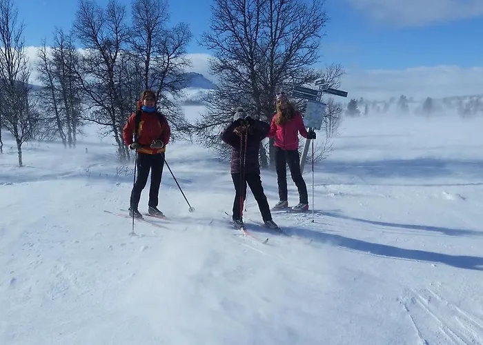 Skjeggestad * Ringebu