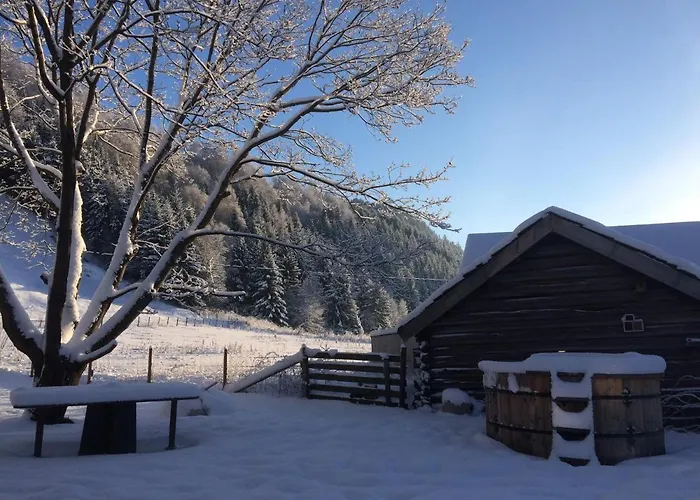 Skjeggestad * Ringebu