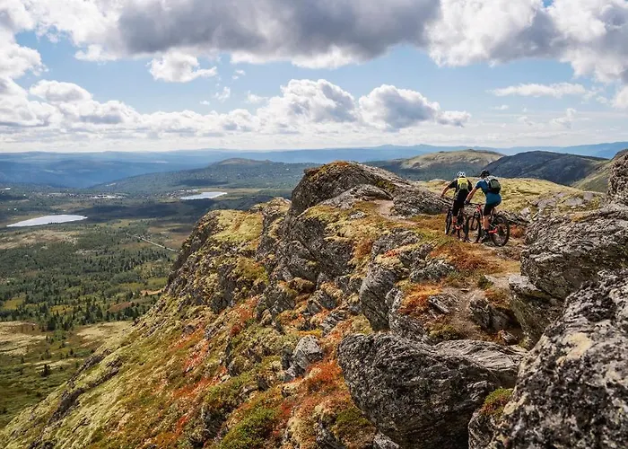 Skjeggestad * Ringebu