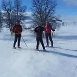 Skjeggestad * رينغيبو