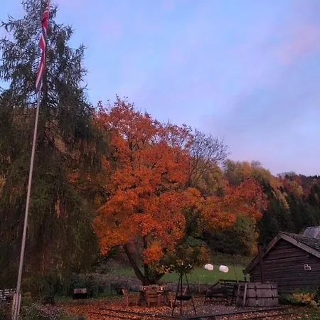 Skjeggestad *