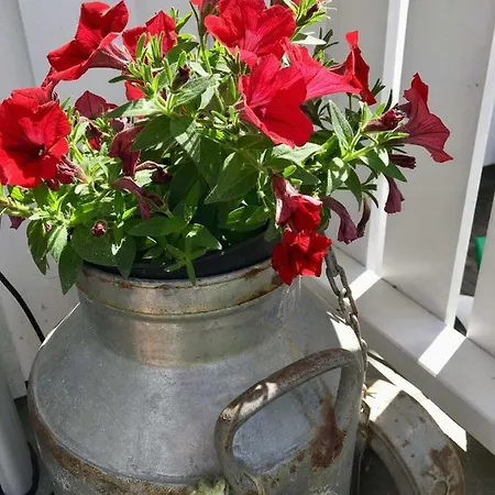 Skjeggestad רינגבו