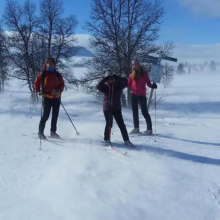 Skjeggestad * רינגבו