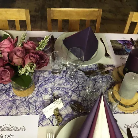 Skjeggestad רינגבו